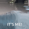 1000041378.gif