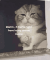1754923595224.png
