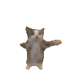 31a72afda250825d993400c3ef28c55c.gif