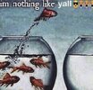 IMG_7319.jpeg