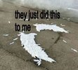 IMG_4911.jpeg
