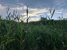 IMG_4755.jpeg