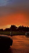 IMG_7891.jpeg