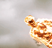 tumblr_5998187fff9127bdc30ad364c2fa9358_ac684ca7_540.gif