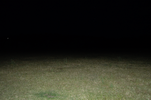 IMG_1274.png