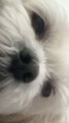 IMG_9962.jpeg