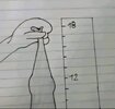 IMG_7582.jpeg