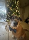 IMG_6488.jpeg