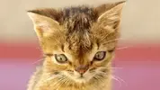 59c864f245d2a027e83c050c.webp