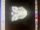 IMG_0647.jpeg