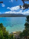 IMG_0566.jpeg