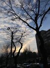 IMG_7787.jpeg
