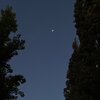 IMG_7769.jpeg