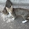 IMG_7574.jpeg