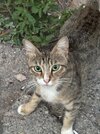 IMG_7386.jpeg