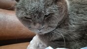 IMG_4613.jpeg