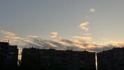 IMG_4517.jpeg