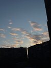 IMG_4504.jpeg