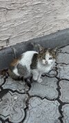 IMG_1297.jpeg