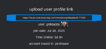 1755615219349.png