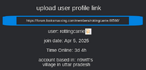 1755668525367.png