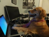 1603646530976.png