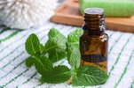 peppermint-essential-oil.jpg