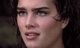 761c6c8b5f79b0a30cfc665ad0b96caa.gif