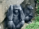 D1300461-14FA-483E-BEFE-A604D2E48DF7.gif