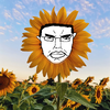 Sunflower.png