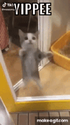 1756359426502.gif