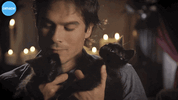IMG_2225.gif