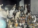 IMG_8825.jpeg