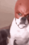 1756996523622.png