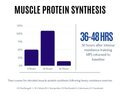 Muscle_Protein_Synthesis_480x480.jpg