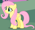 IMG_2407.png IMG_2407.png