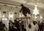 IMG_0560.gif