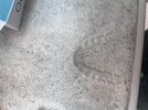IMG_8555.jpeg
