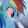 IMG_4397.png