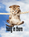 1759970992093.png