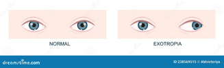 1760383081238.png
