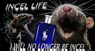 1760723846348.png