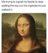 IMG_7688.jpeg