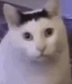 1760779131844.png