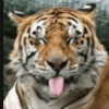 1000006778.png