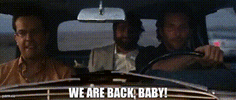 e69b3ad8-5fbd-4a4a-aecc-caa5c8e8329c_text.gif
