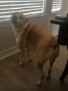 1760826903426.png