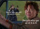IMG_7732.jpeg