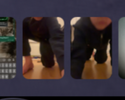 1761164813522.png