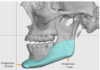 Right Side Profile Implant Measurements.png